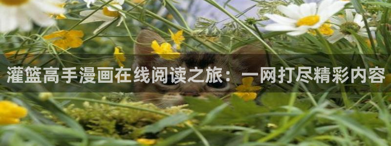 yy漫画无删减版：灌篮高手漫画在线阅读之旅：一网打尽精彩内容